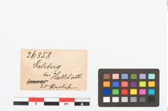 Etikett zu Perlenkette (NHMW-PRAE-026858)